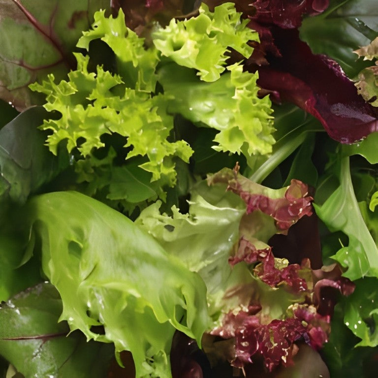 Babyleaf Salademengsel