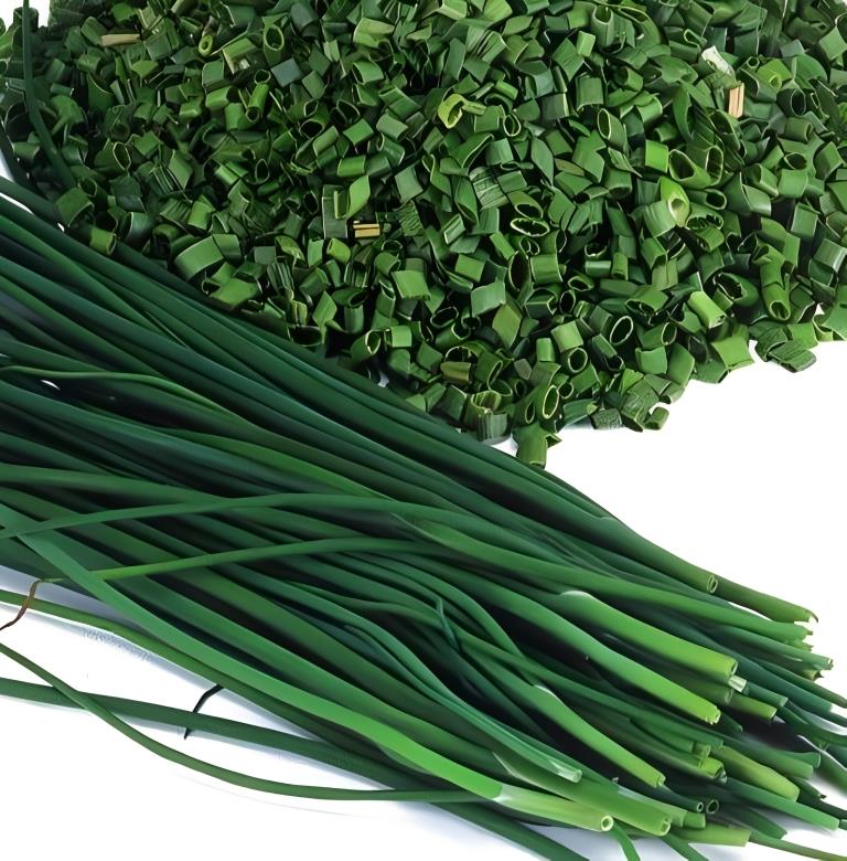 Bieslook - 'Middelgrofbladig'