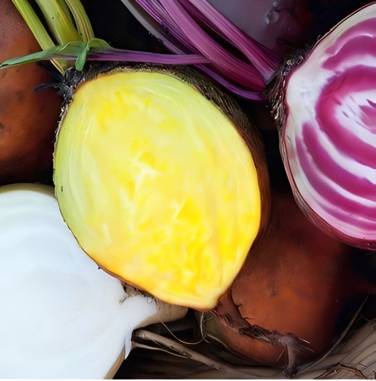 Bieten / Kroten - '4 Kleurenmengsel'