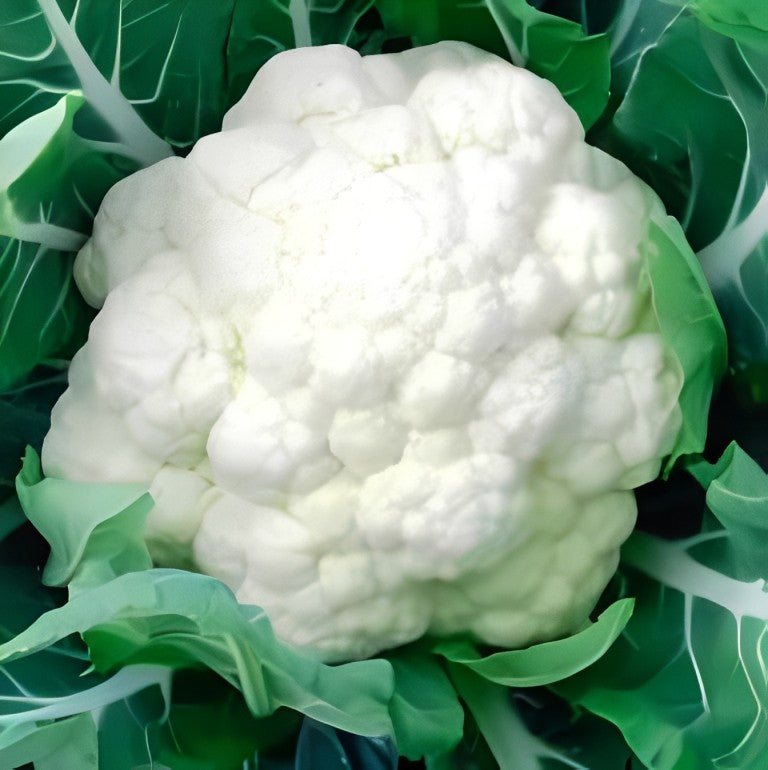 Bloemkool - 'All The Year Round'