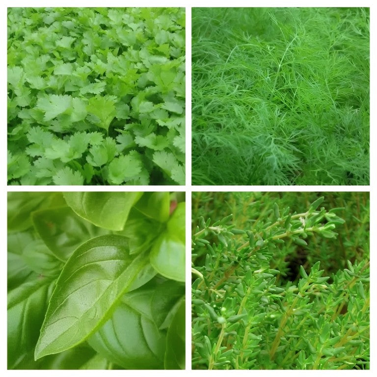 Pick & Mix uw Keukenkruiden