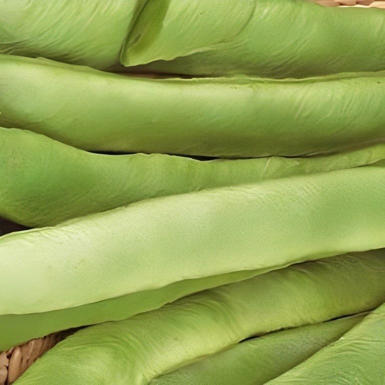 Pronkboon - 'Emergo'