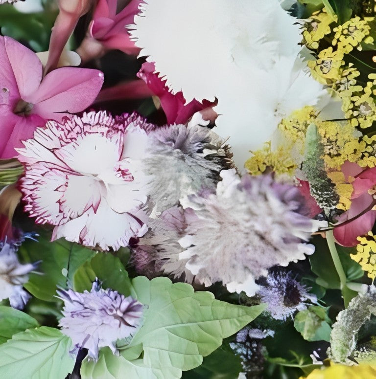 Geurend Insectenlokkend Bloemenmengsel