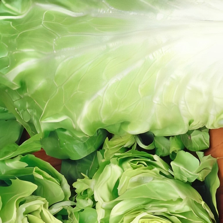 Groenlof - 'Vroege Zelfsluitende'