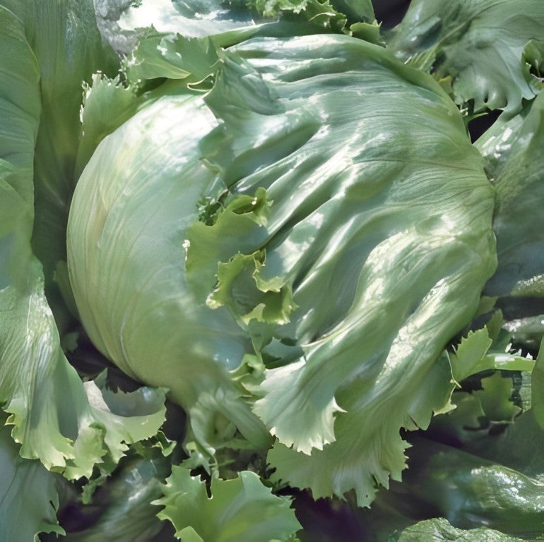 Kropsla (IJssla) - 'Great Lakes 118'