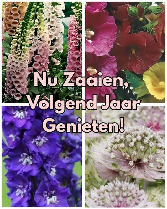 Pakket Nu Zaaien, Volgend Jaar Genieten!