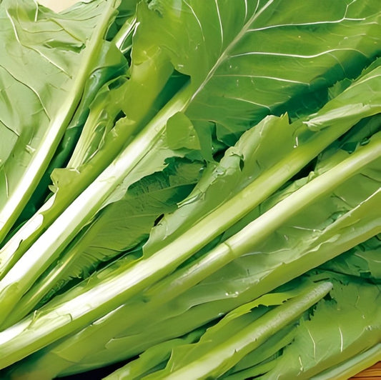 Amsoi - 'Groenbladig'