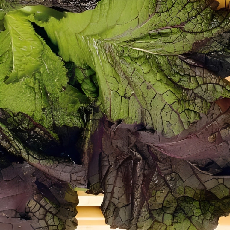 Amsoi - 'Roodbladige'