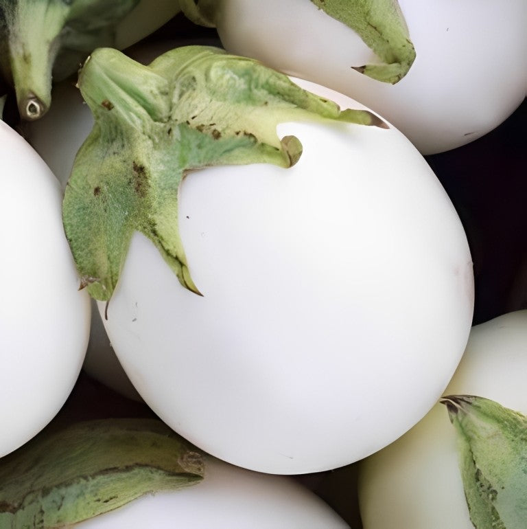 Aubergine - 'White Egg'