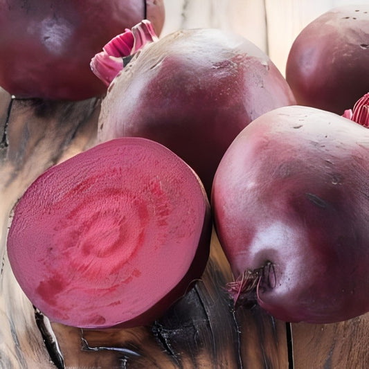 Bieten (Kroten) - 'Kogel 2' / 'Bolivar'