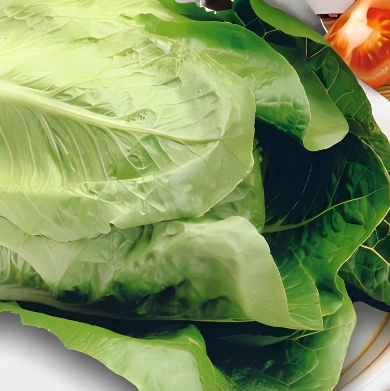 Bindsla - 'Blanke Zelfsluitende'