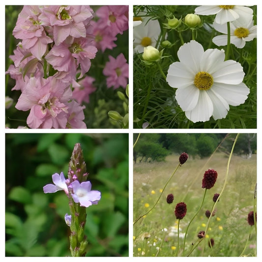 Transparant 1- en Meerjarig Borderpakket