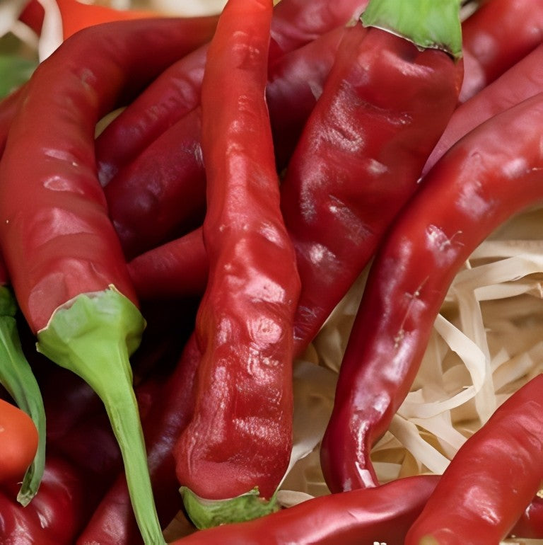 Peper - 'Cayenne'