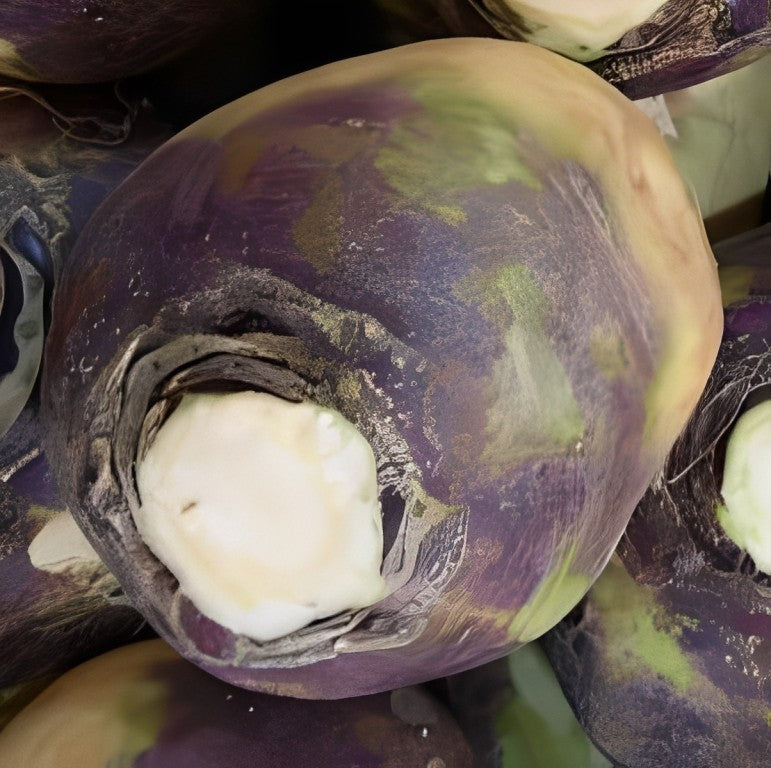 Koolraap - 'Champion'