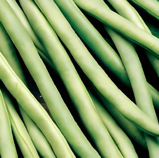 Stokslaboon - 'Cobra'