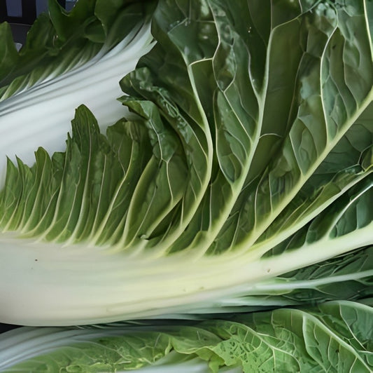 Chinese Kool - 'Granaat'