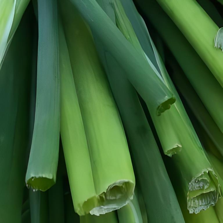 Bieslook - 'Grofbladig'