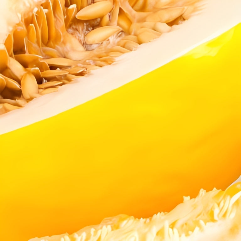 Meloen - 'Honey Dew'