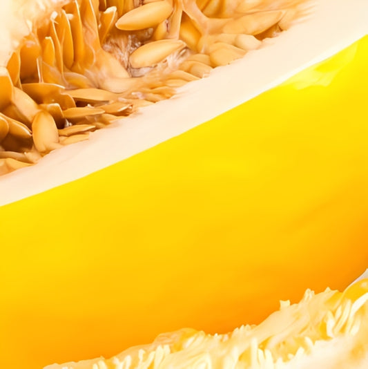 Meloen - 'Honey Dew'