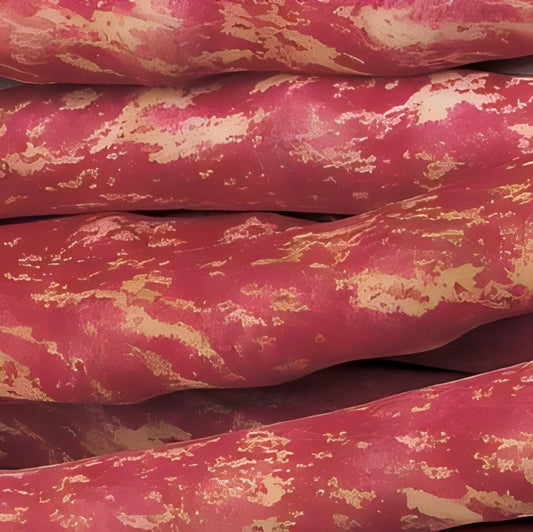 Stokboon (Kievietsboon) - 'Borlotto lingua di Fuoco 2'