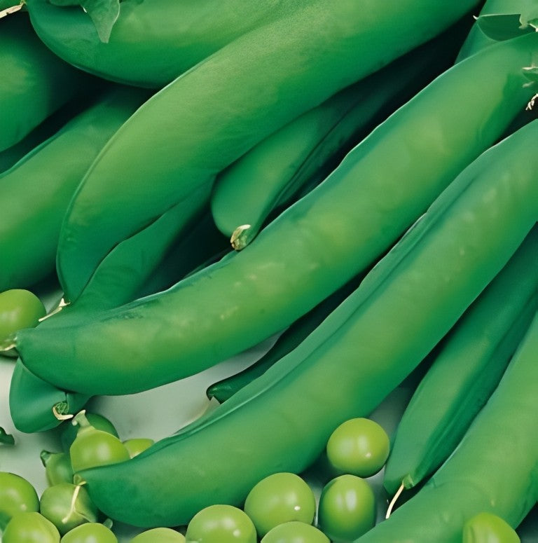 Doperwten - 'Marktveroveraar'