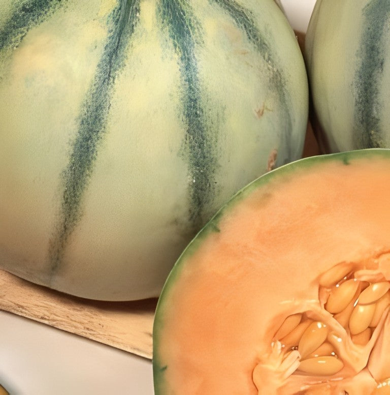 Meloen - 'Charentais'