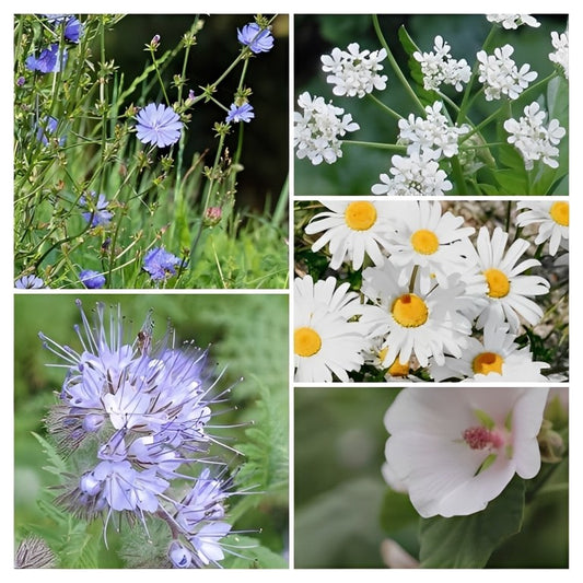 Mengsel voor Paarden