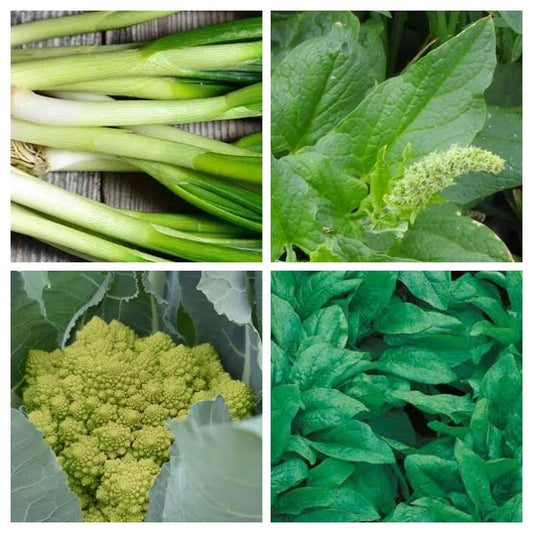 November Groentezaaipakket