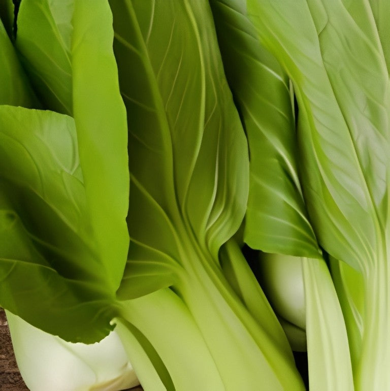 Paksoi - 'Witgroene'