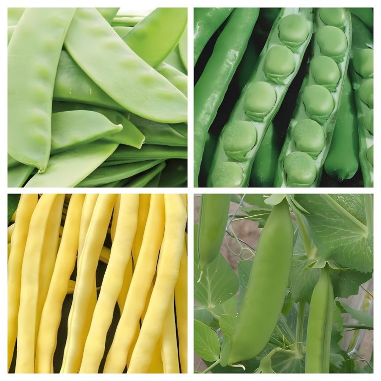 Pick & Mix uw Peulvruchten