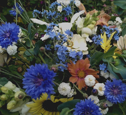 Pluktuinmix