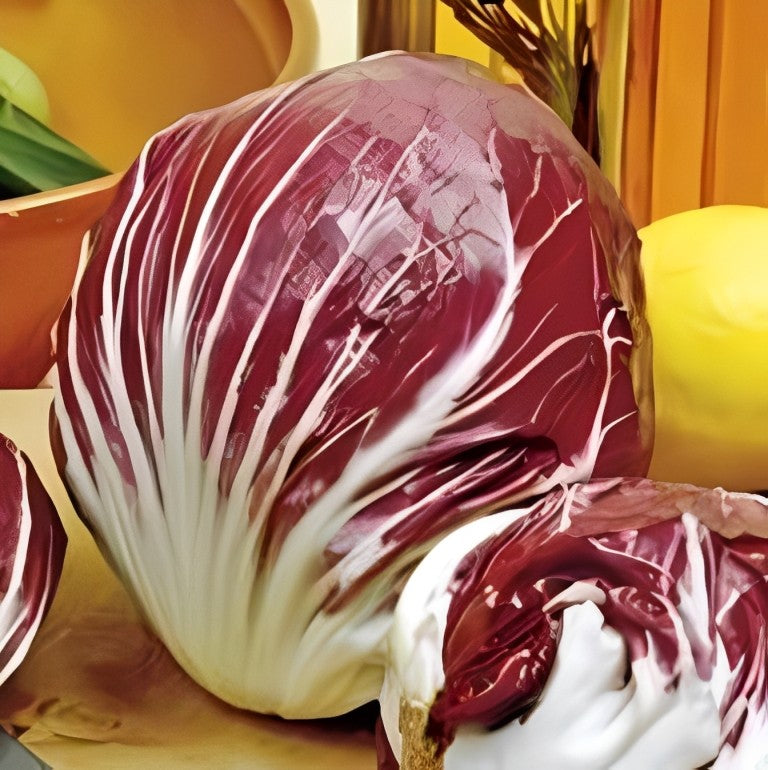 Roodlof - 'Rossa di Chioggia 3'