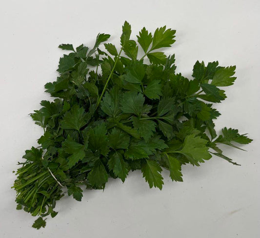 Platte Peterselie - 'Gewone Snij'