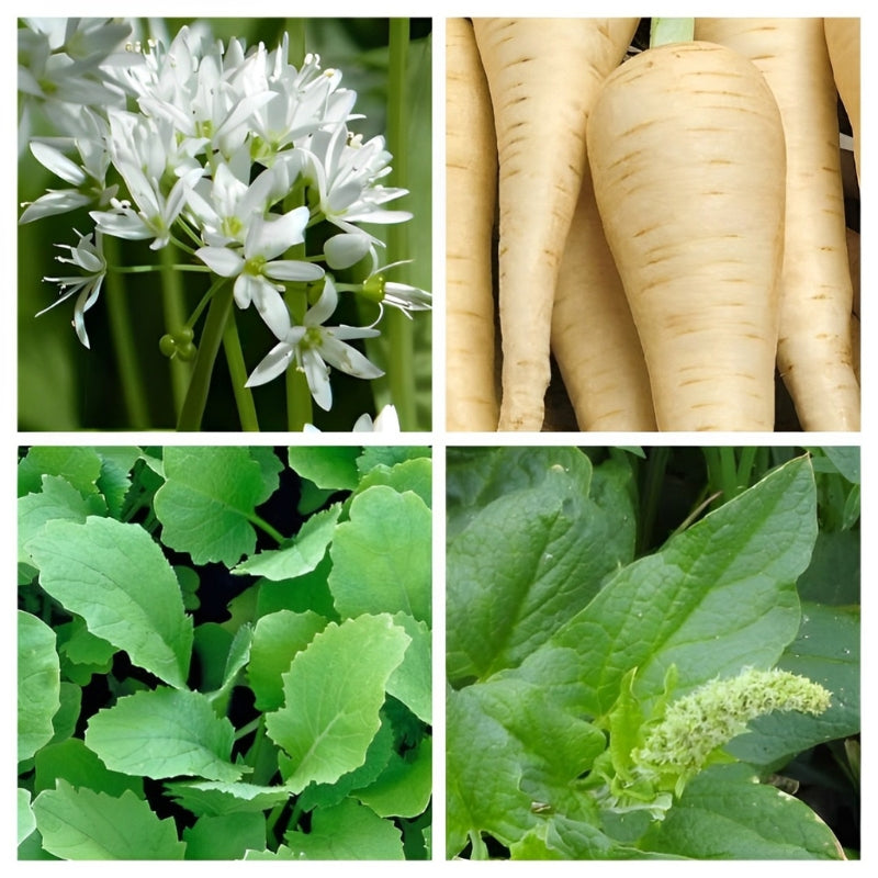 'Vergeten Groente' Pakket