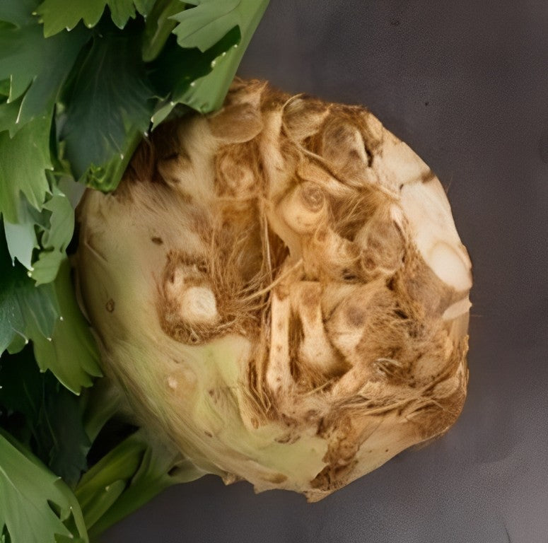 Knolselderij - 'Wiener Riesen'